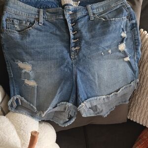 Torrid Light Blue Ripped Jean Shorts